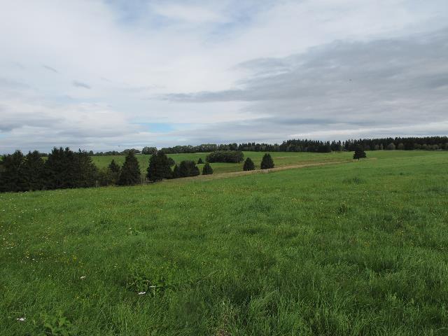 imn_7380_g.jpg