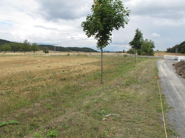 imn_7392_g.jpg