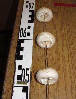imp_3041-a_m.jpg