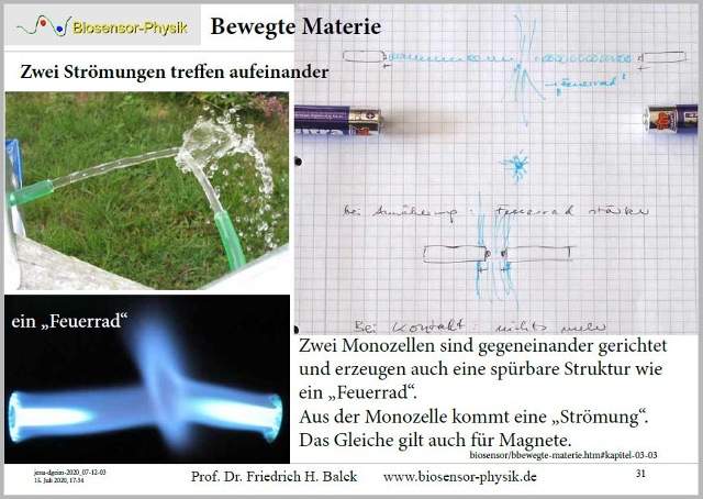 jena-dgeim-2020-seite-31-001_g.jpg