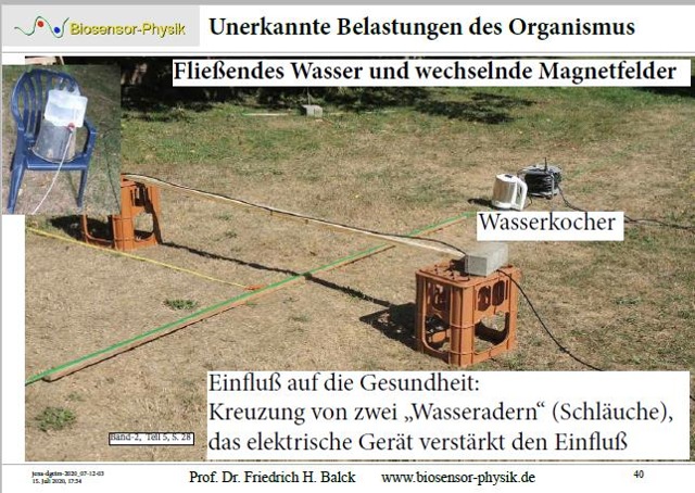 jena-dgeim-2020-seite-40-001_g.jpg