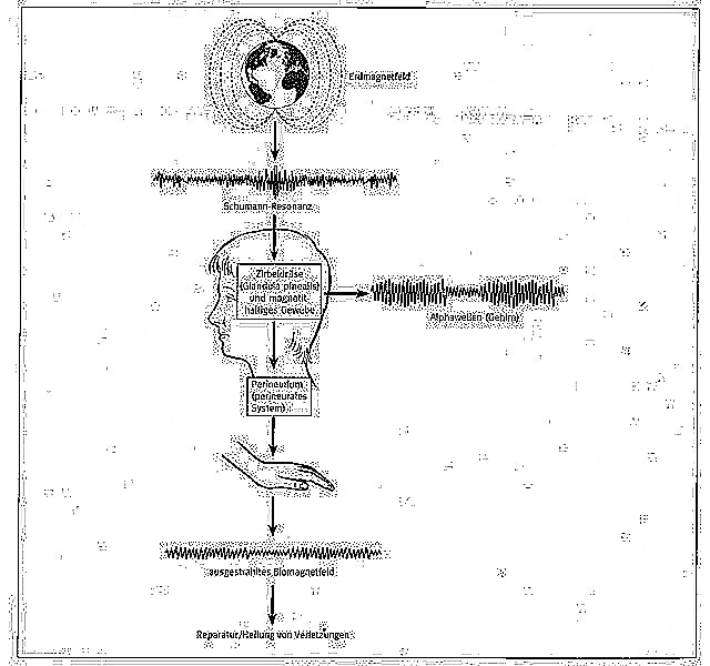 oschman-abb-7-8_g.jpg