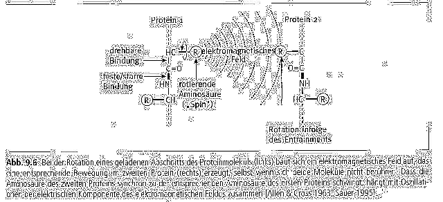 oschman-abb-9-6_g.jpg