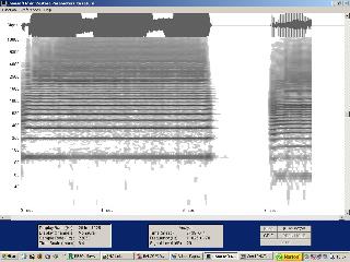 posaune-conny-01_m.jpg