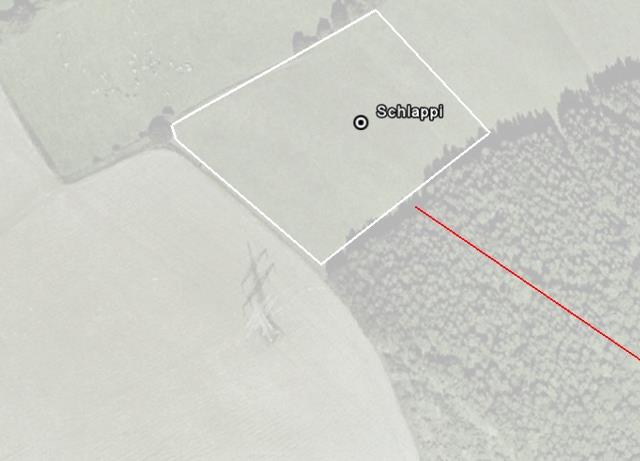 schlappi.001_g.jpg