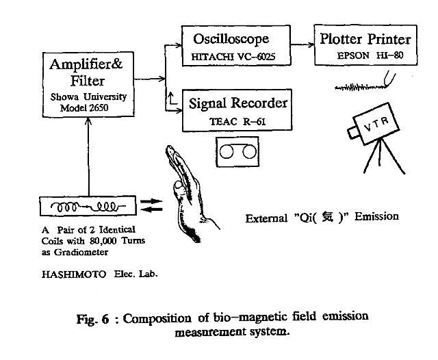 seto--detection-of-extraordinary-large-bio-magnetic-1992-ocr-abb06_g.jpg