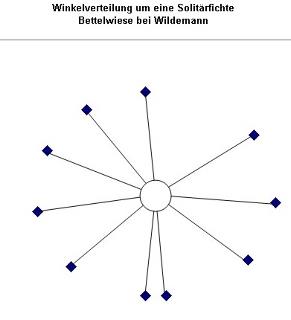 solitaer-fichte-001-a_m.jpg