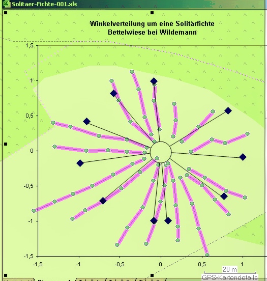 solitaer-fichte-002.jpg