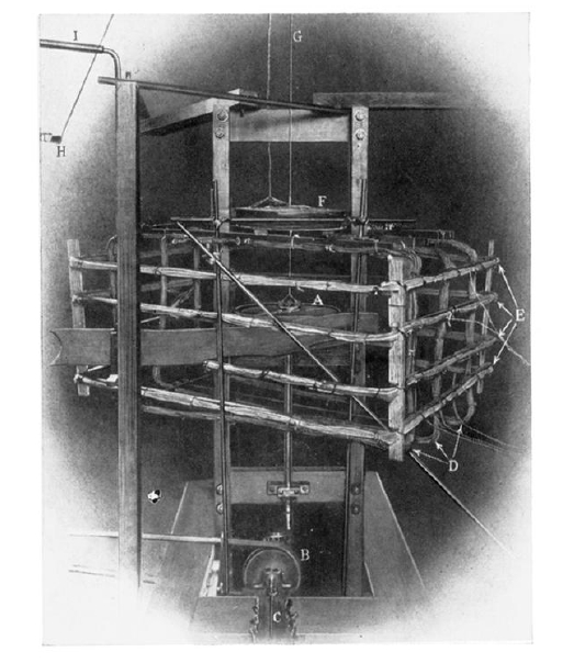 tolman-001.jpg