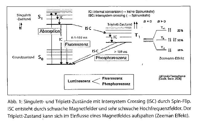warnke--initialer-mechanismus-schaedigung-durch-Magnetfelder-plus-Hochfrequenz-2009-ocr-abb01_g.jpg