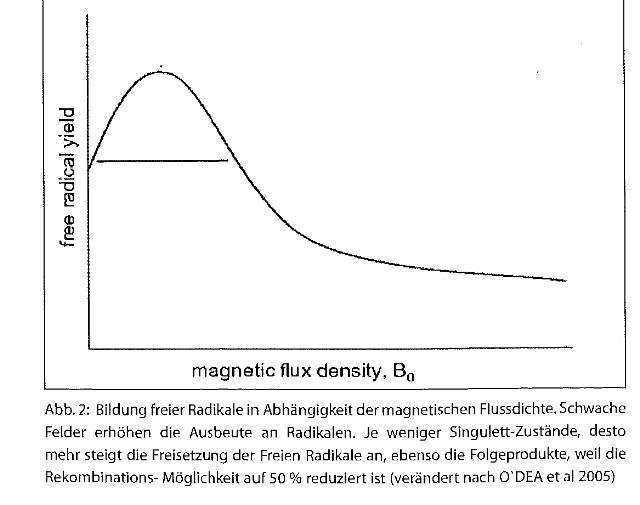 warnke--initialer-mechanismus-schaedigung-durch-Magnetfelder-plus-Hochfrequenz-2009-ocr-abb02_g.jpg