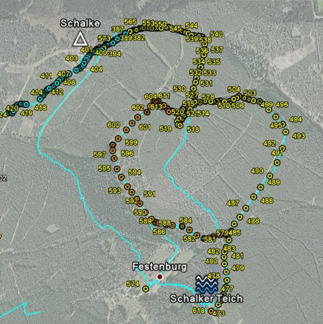 werk-tanne-kahlenberg-neun-001_g.jpg