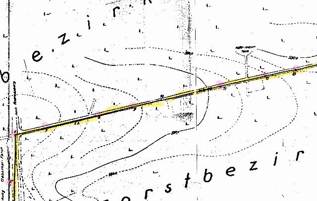 werk-tanne-papier-004b-1_g.jpg