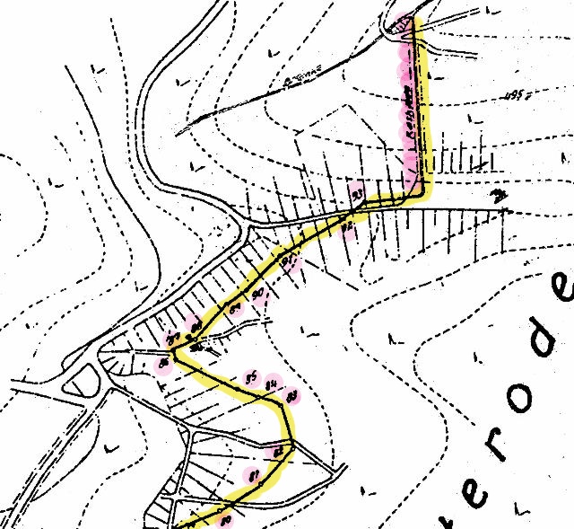werk-tanne-papier-007-g_g.jpg