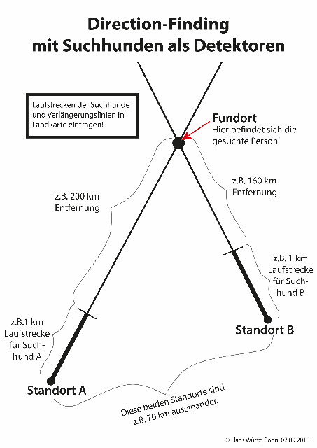 wuertz-detektoren_g.jpg