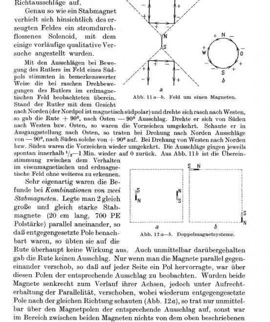 wuest-wimmer-seite-457-001.jpg