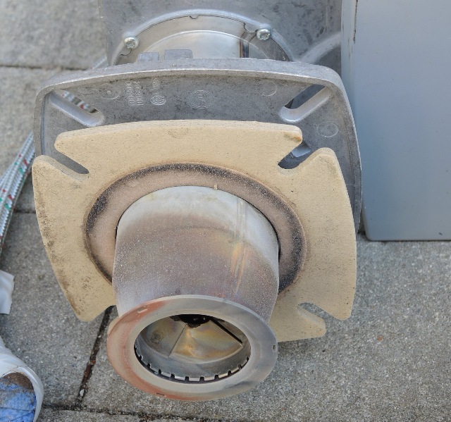 dsco5781_g.jpg