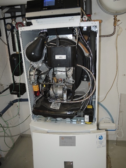 dsco5807_g.jpg