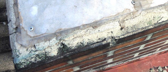 dsco8077-b_g.jpg