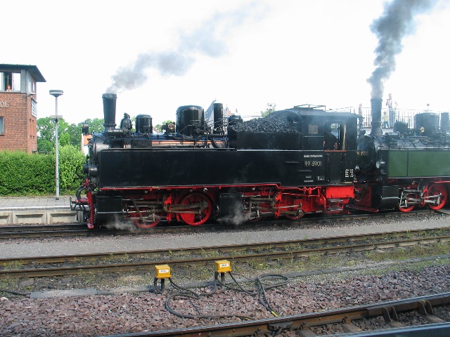imm_5374_g.jpg