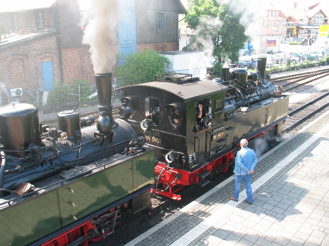 imm_5381_g.jpg