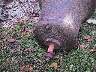 img_0818_k.jpg