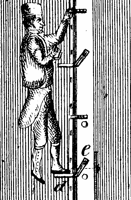 rbild126-b_g.jpg