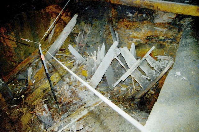 scn_0070_g.jpg