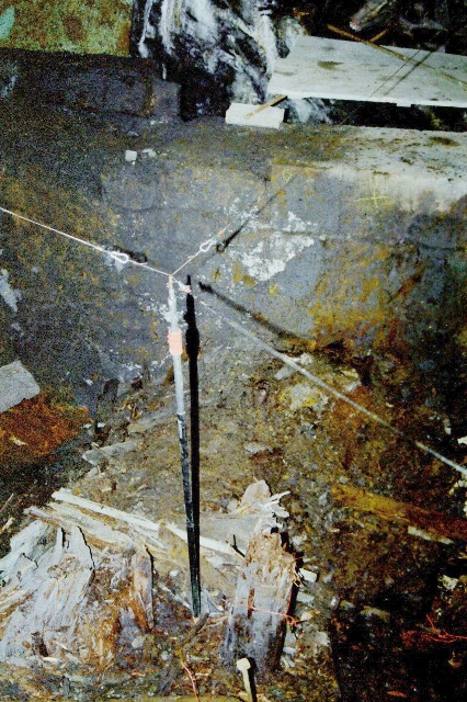 scn_0071_g.jpg