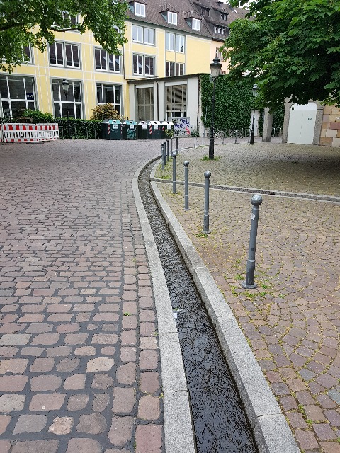 20180513_111504_g.jpg