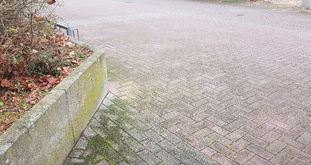 20230126_113306-a_g.jpg