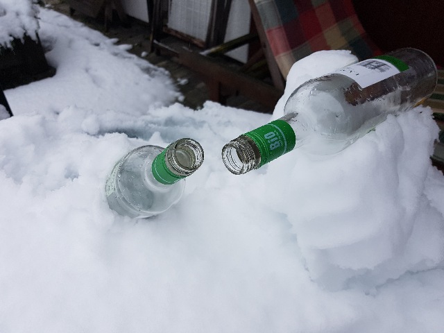 20230202_120929_g.jpg