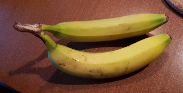 20230211_161727_g.jpg