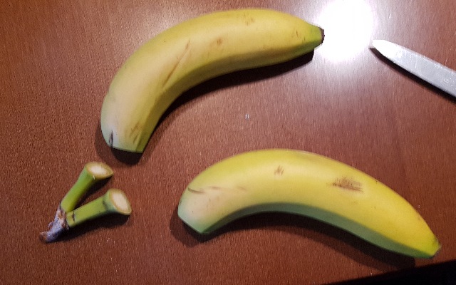 20230211_161745_g.jpg
