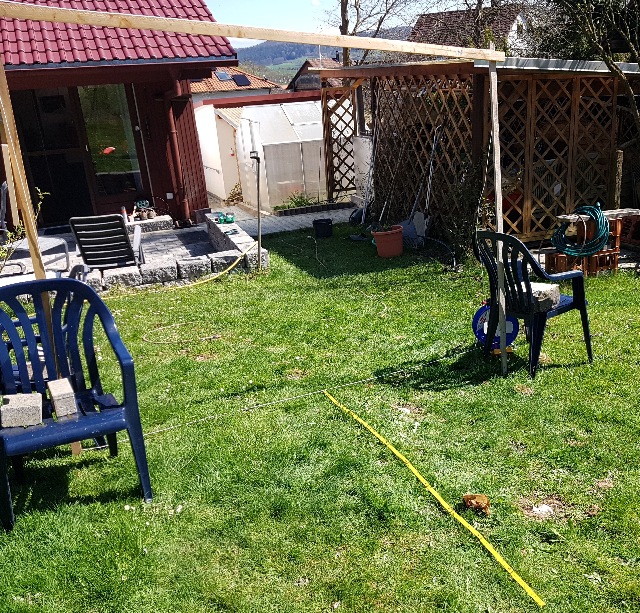 20230419_140012_g.jpg