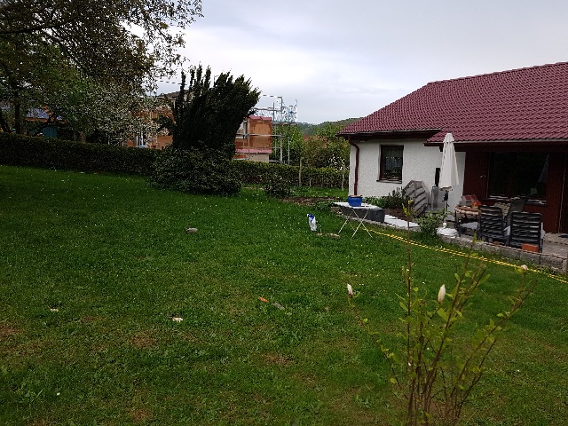 20230508_171236_g.jpg