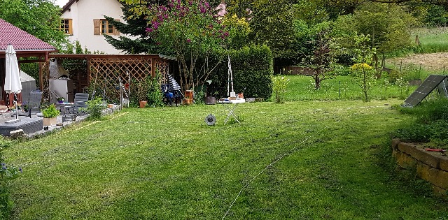 20230517_163112_g.jpg