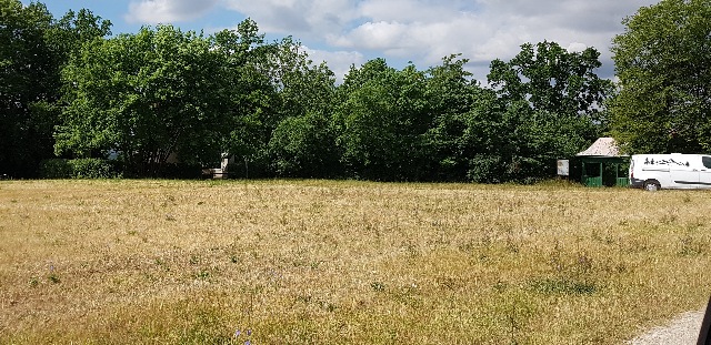 20230702_102157_g.jpg