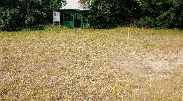 20230702_104430_g.jpg