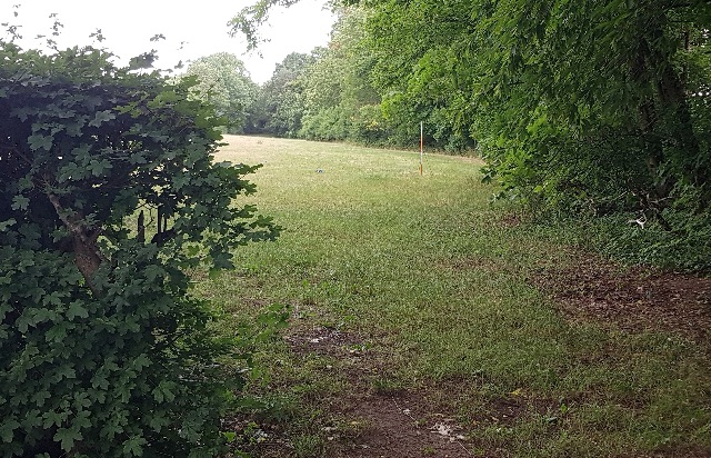 20230702_110821_g.jpg