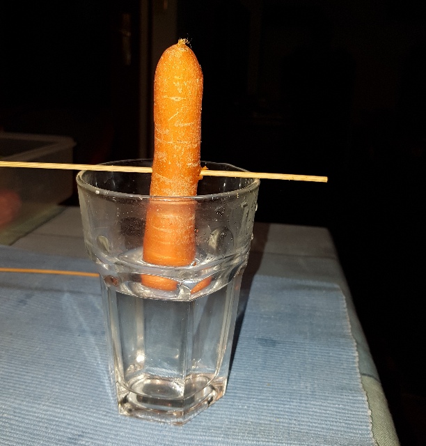 20231224_091607_g.jpg