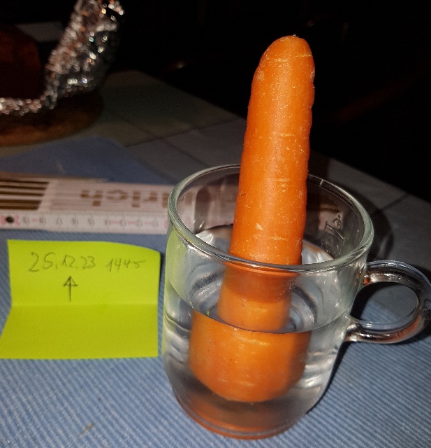 20231225_144913_g.jpg