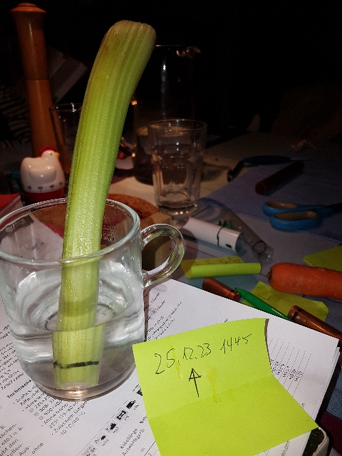 20231225_155000_g.jpg