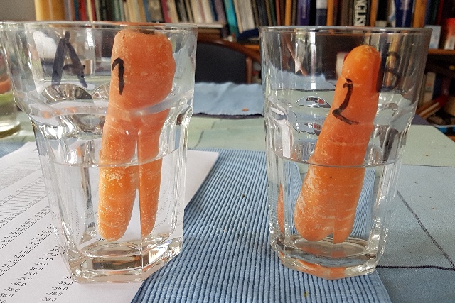 20231226_111700_g.jpg