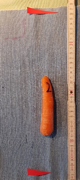 20231226_114348_g.jpg