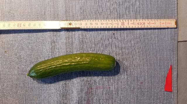 20231227_153614_g.jpg
