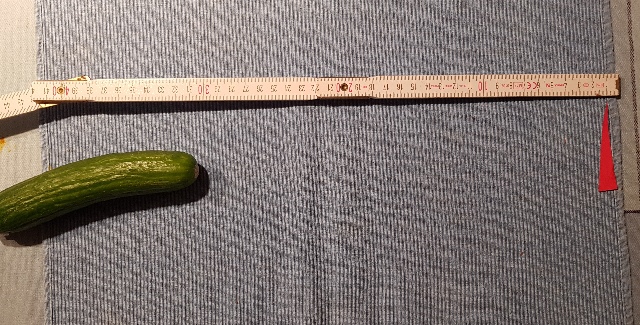 20231228_181554_g.jpg