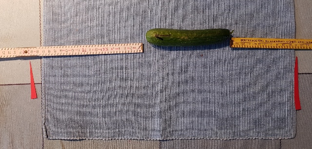 20240104_112329_g.jpg
