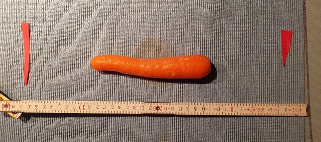 20240106_075529_g.jpg