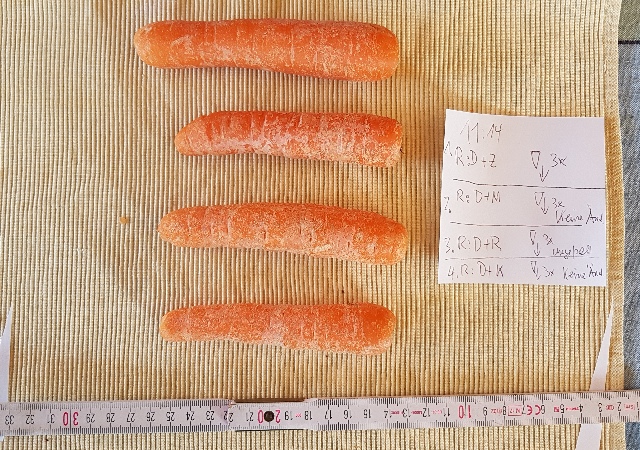 20240109_112256_g.jpg